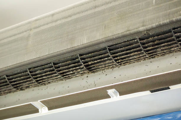 Best Professional Duct Cleaning Services  in Taunton, MA
